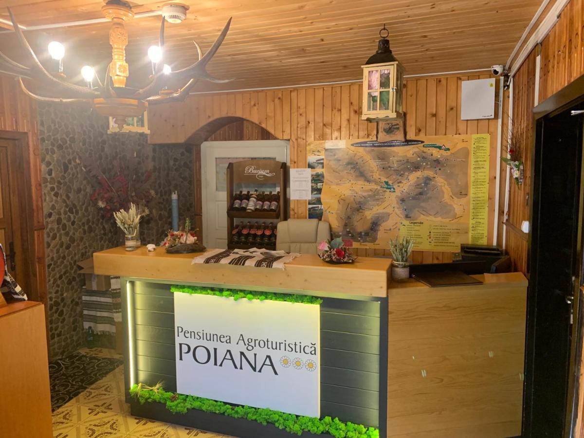 Pensiunea Agroturistica Poiana Poiana Negrii Eksteriør billede