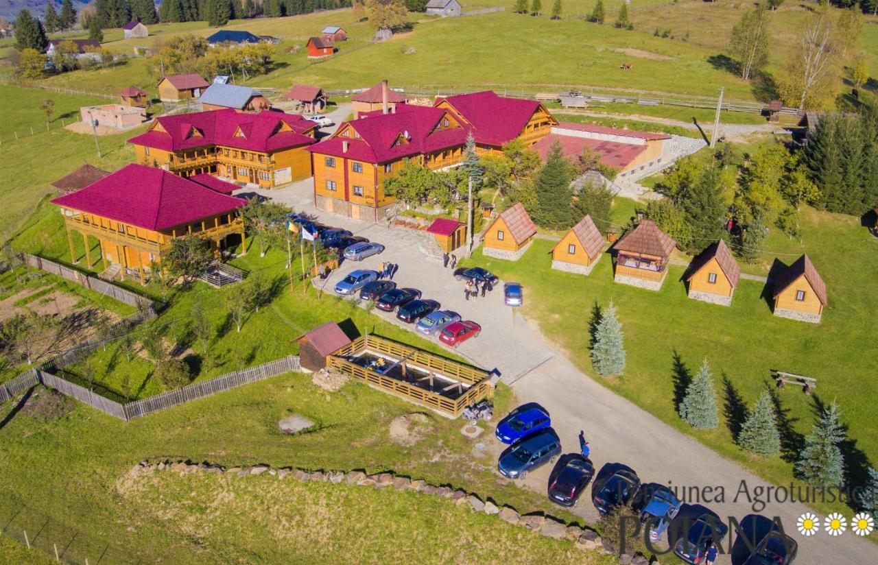 Pensiunea Agroturistica Poiana Poiana Negrii Eksteriør billede